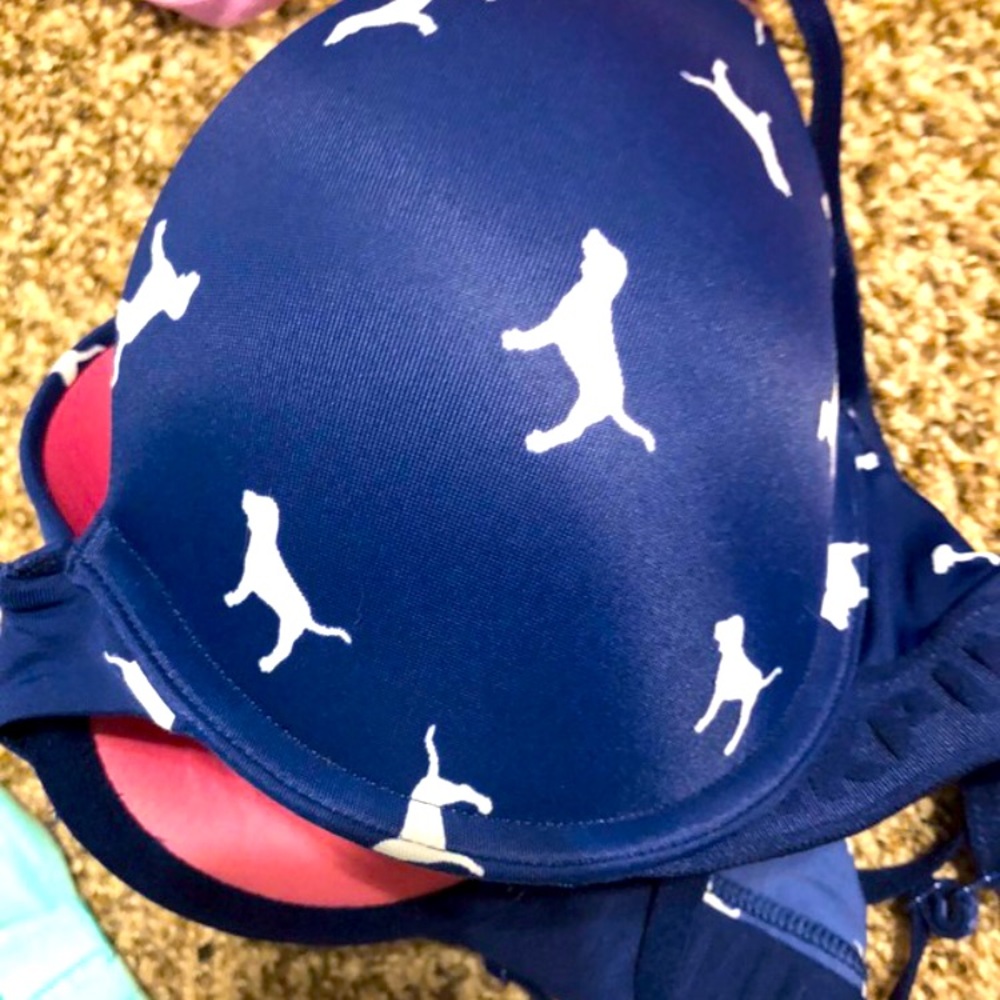 Blue PINK VS bra